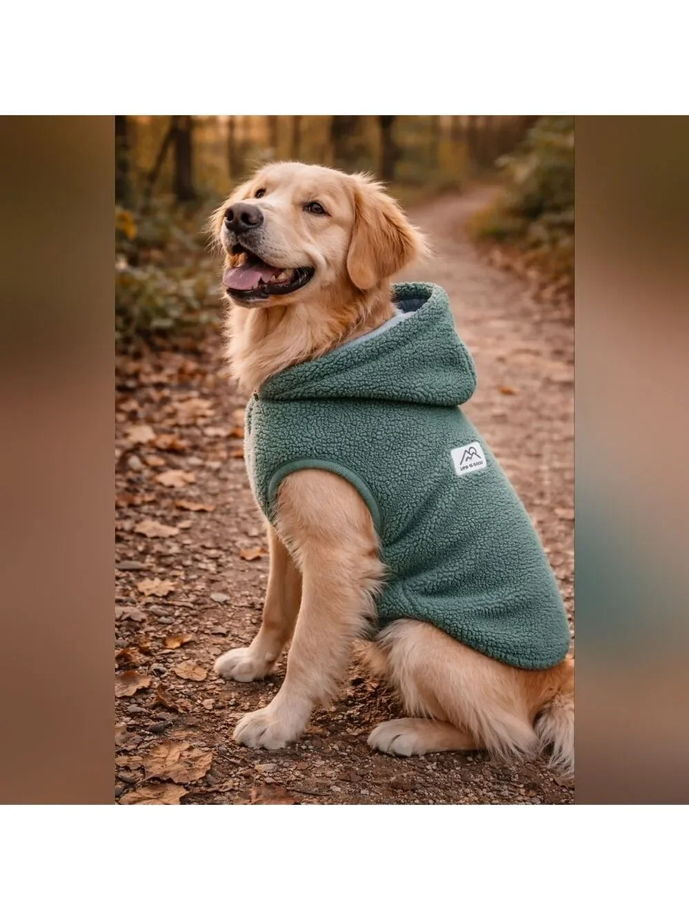 Life Is Good Sherpa Dog Hoodie Jacket – Sage Green – Medium – Cozy Winter Coat